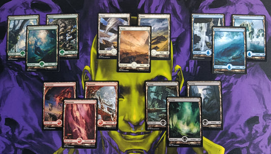 Set 15 Tierras Básicas Full Art de Zendikar Rising
