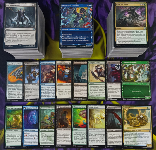 GRAN LOTE 1000 Cartas