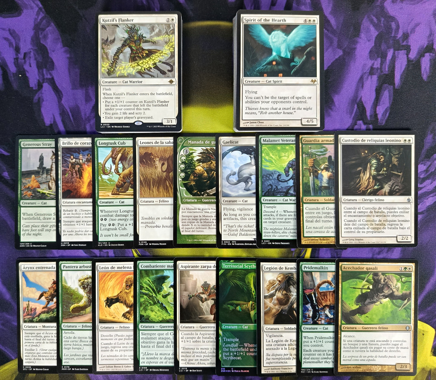 Lote Tribal 50 Felinos/Cats