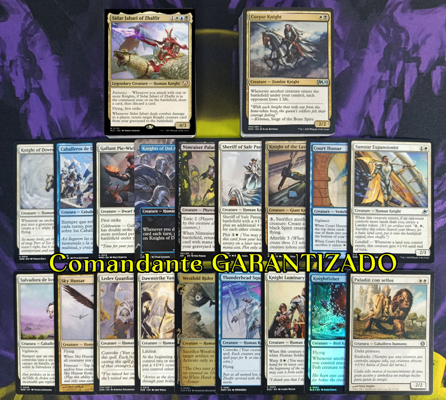 Lote Tribal 50 Caballeros/Knights