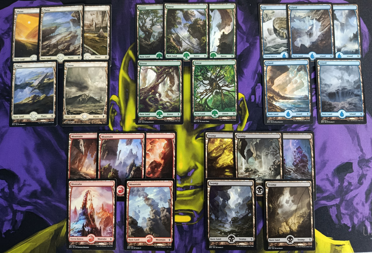 Set 25 Tierras Básicas Full Art de Battle for Zendikar