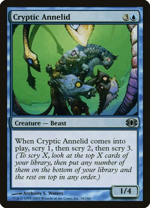 Cryptic Annelid/ Anélido críptico NM+